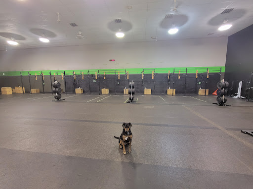 Gym «CrossFit Proven», reviews and photos, 43 Marchwood Rd, Exton, PA 19335, USA