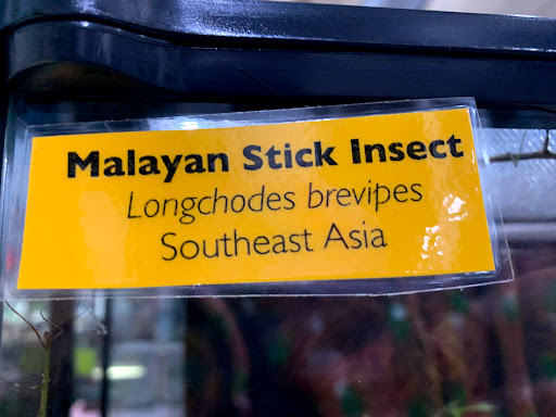 Farm «Idlewild Butterfly Farm», reviews and photos, 1100 Logan St, Louisville, KY 40204, USA