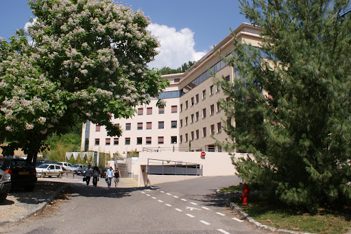Institut Rhonalpin