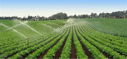 Evergreen Irrigation Systems, S. de R.L.