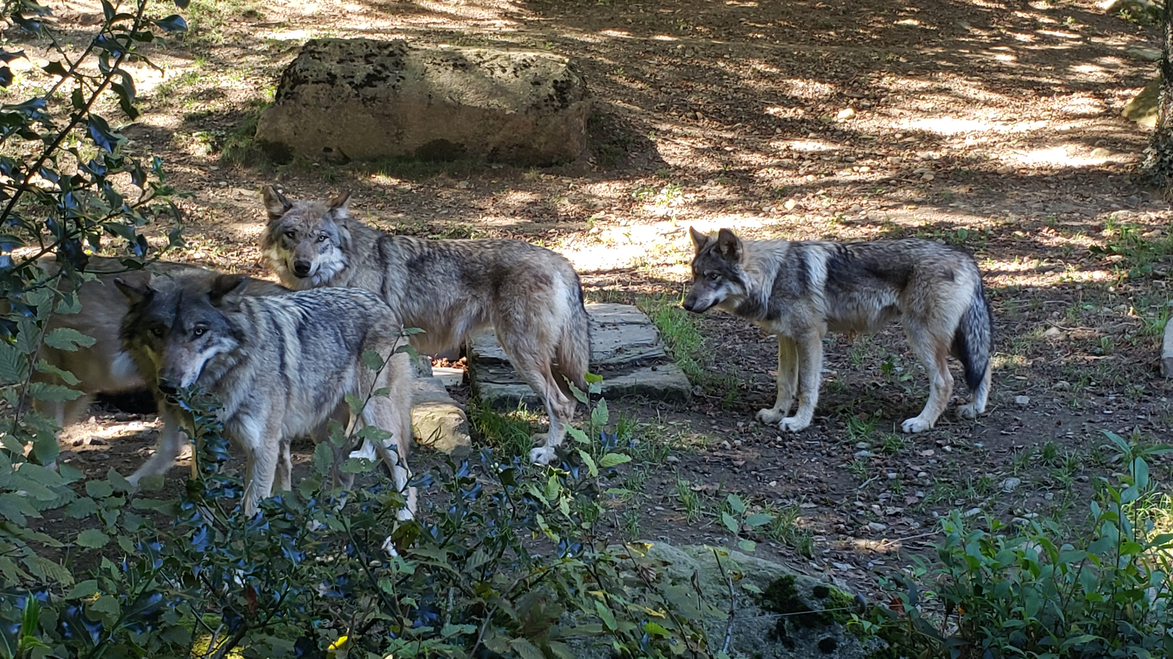 Photo n° 5 de l'avis de Cris.9 fait le 05/10/2023 à 13:30