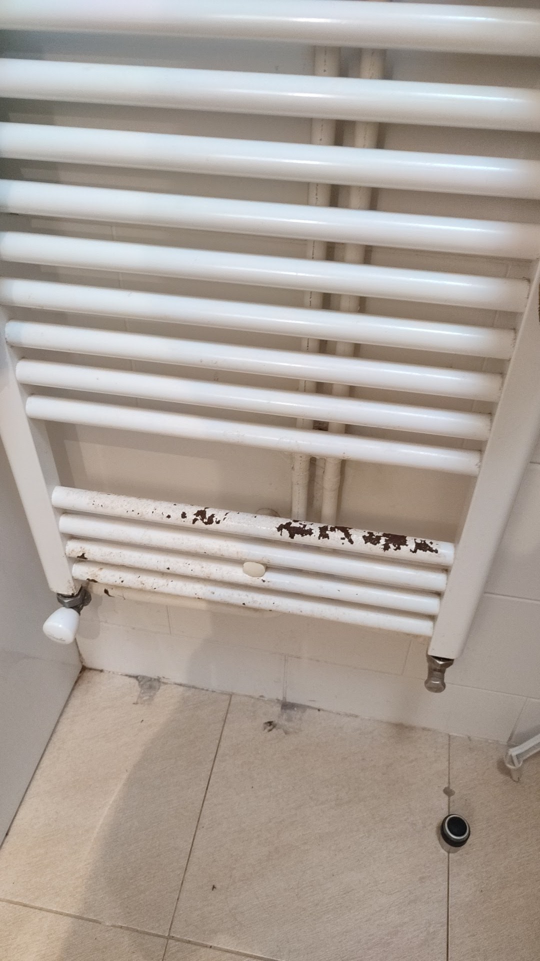 Photo n° 1 de l'avis de Nat.B fait le 04/01/2024 à 13:36