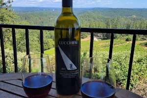 Lucchesi Vineyards & Winery image