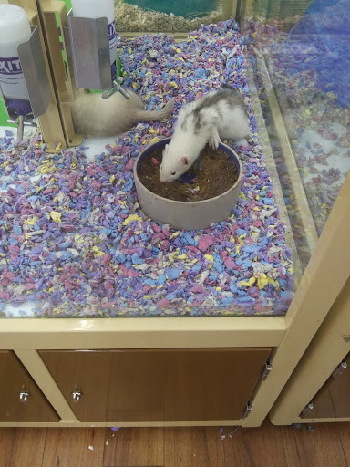 Pet Supply Store «Pet Supermarket, Inc.», reviews and photos, 598 N McCarran Blvd, Sparks, NV 89431, USA