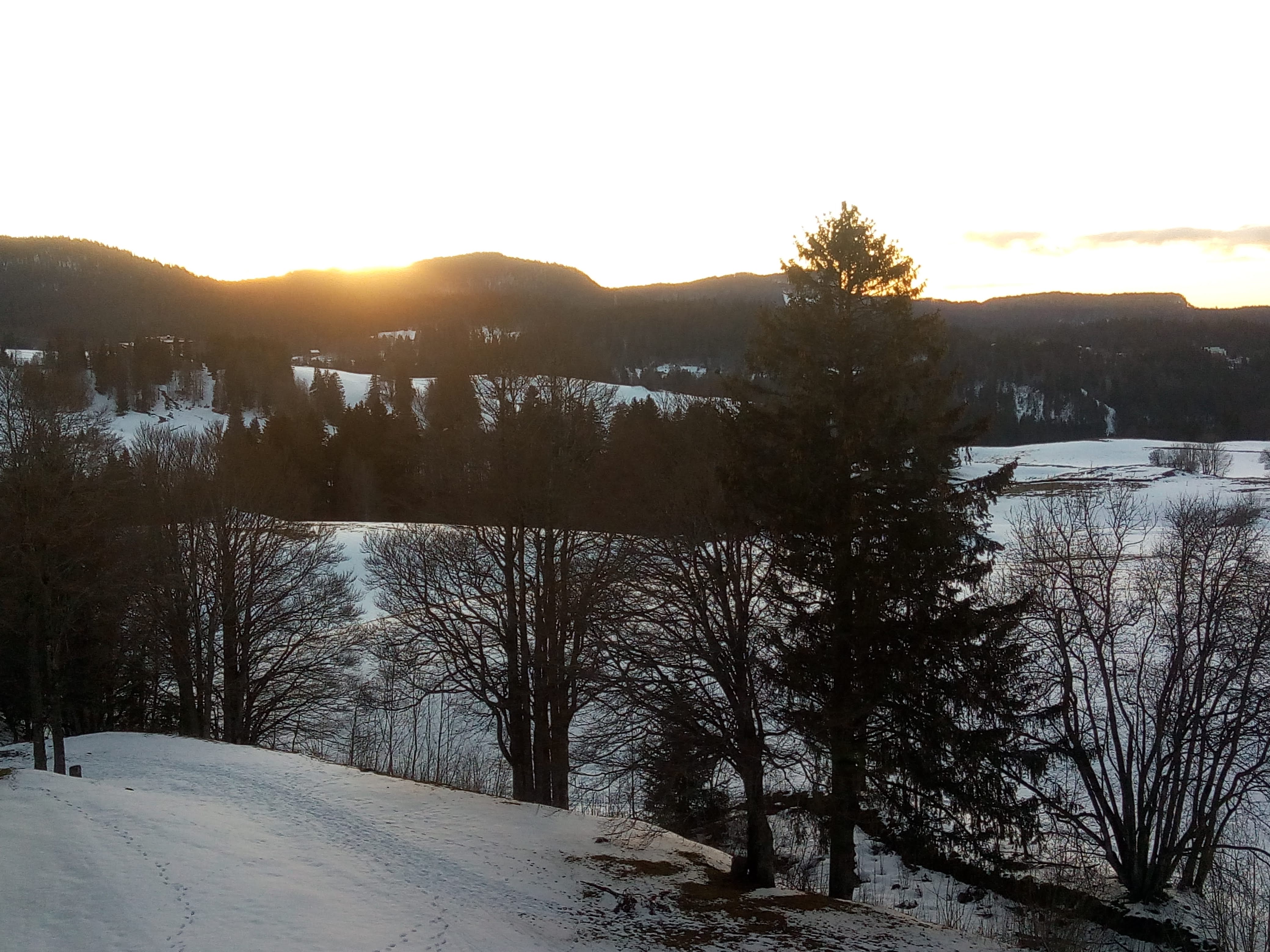 Photo n° 3 de l'avis de g. fait le 06/03/2022 à 21:57