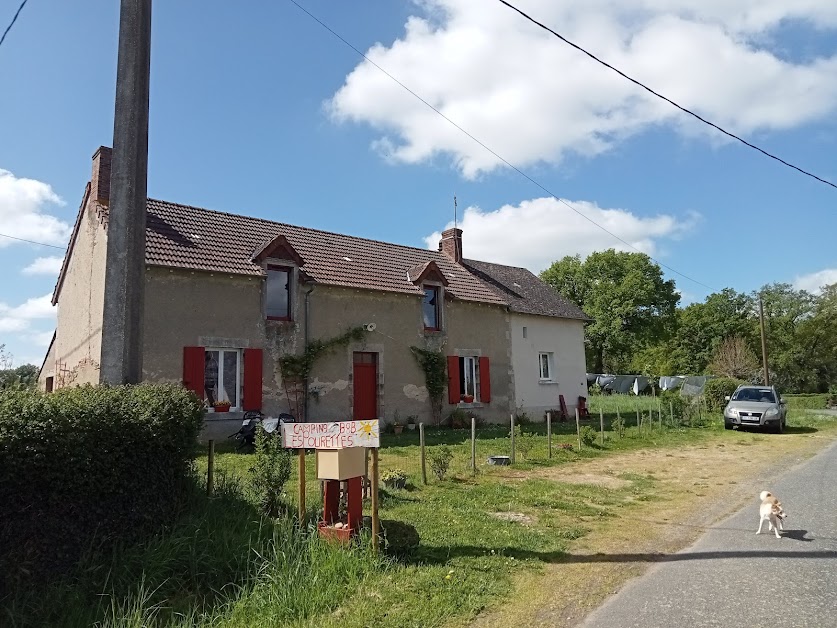 Les Pourettes Camping, studio, cabana, safaritente à Feusines (Indre 36)