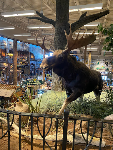 Sporting Goods Store «Bass Pro Shops», reviews and photos, 6425 Daniel Burnham Dr, Portage, IN 46368, USA