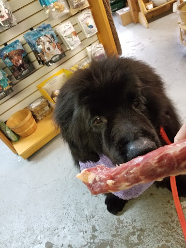 Pet Supply Store «Cheshire Cat & Dog Too», reviews and photos, 1320 Waterbury Rd, Cheshire, CT 06410, USA