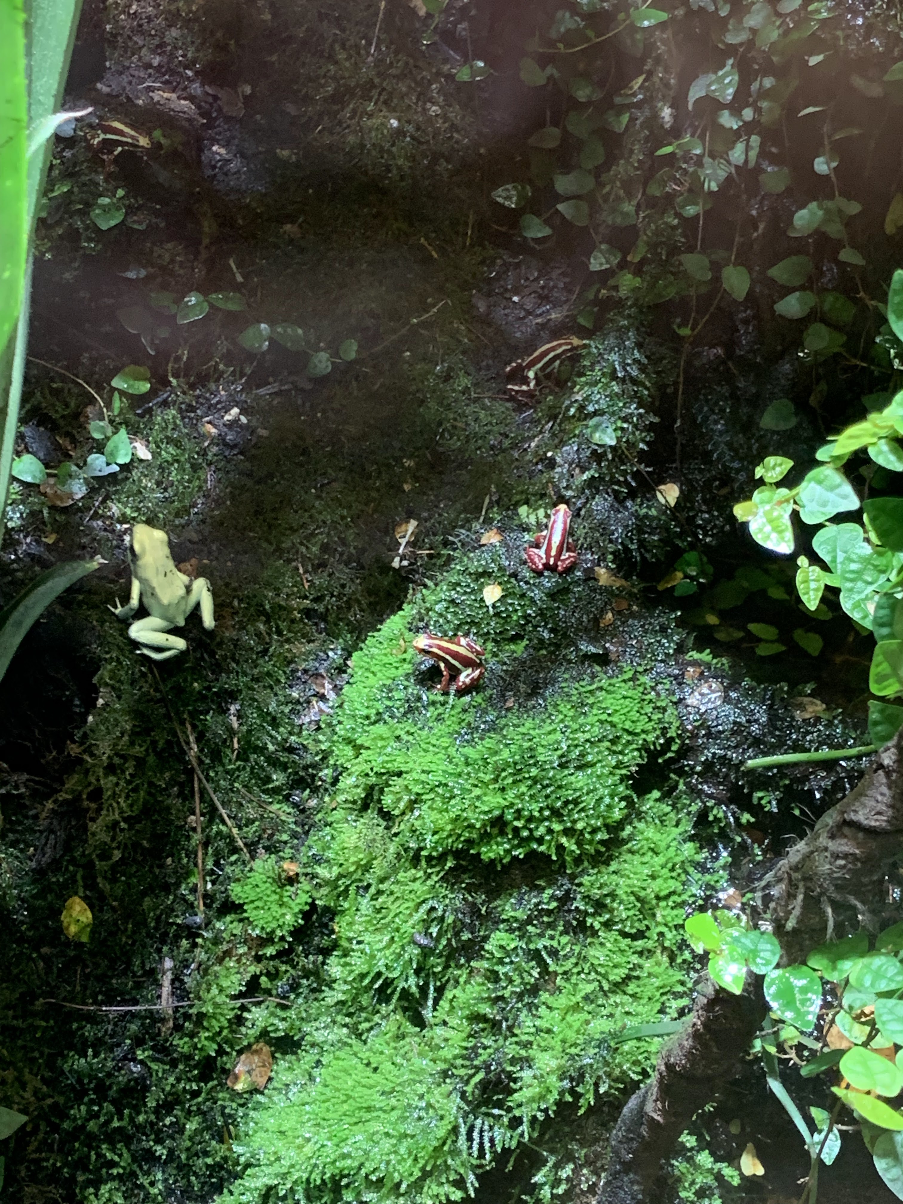 Photo n° 33 de l'avis de Angie. fait le 15/05/2019 à 11:27
