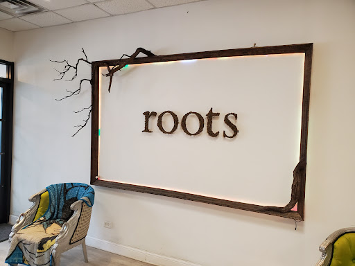 Vaporizer Store «Roots Smoke & Vapor Shop», reviews and photos, 2626 N Milwaukee Ave, Chicago, IL 60647, USA