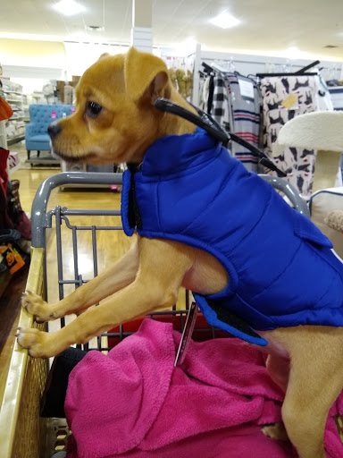 Department Store «HomeGoods», reviews and photos, 1109 Brook Forest Ave, Shorewood, IL 60431, USA