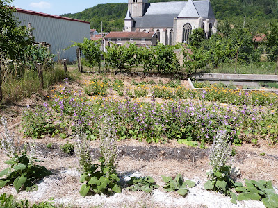Fleurs de peau à Blénod-lès-Toul