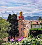 Provence day tours lavender excursion Valensole