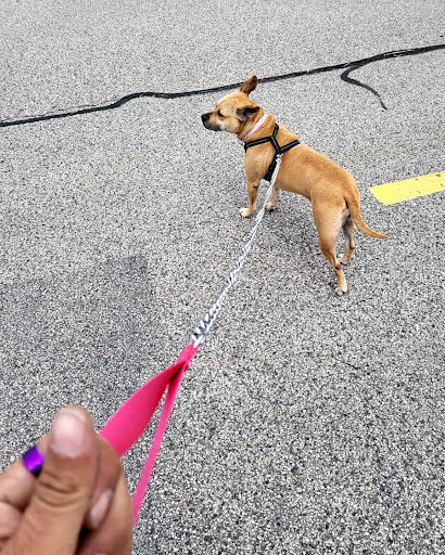 Pet Supply Store «PetSmart», reviews and photos, 700 Lafayette Rd #211, Seabrook, NH 03874, USA