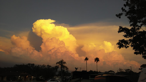 Campground «Seven Springs Travel Park», reviews and photos, 8039 Old Co Rd 54, New Port Richey, FL 34653, USA