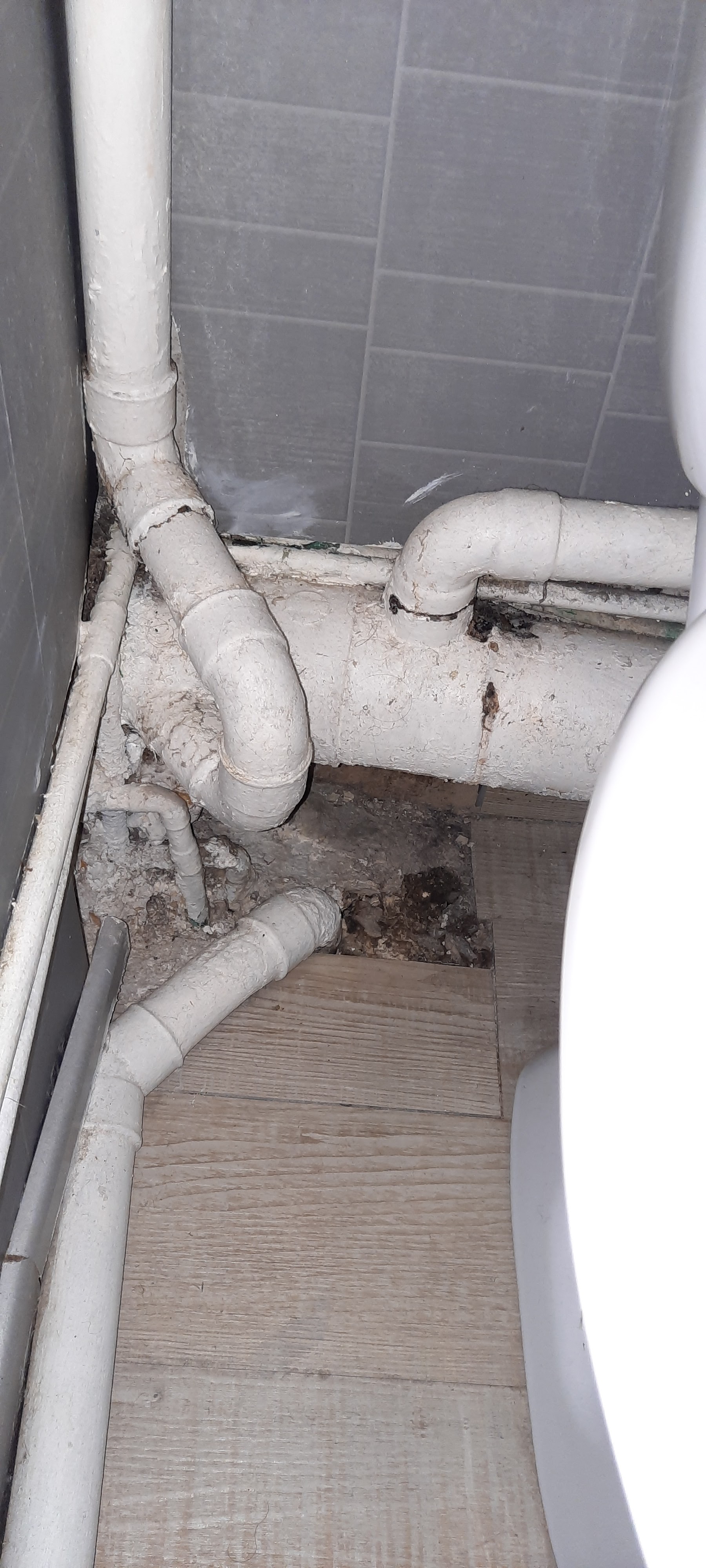 Photo n° 2 de l'avis de Bouchra.E fait le 13/01/2023 à 14:05
