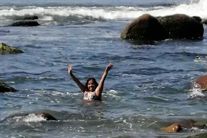 Playa de Horcón. image