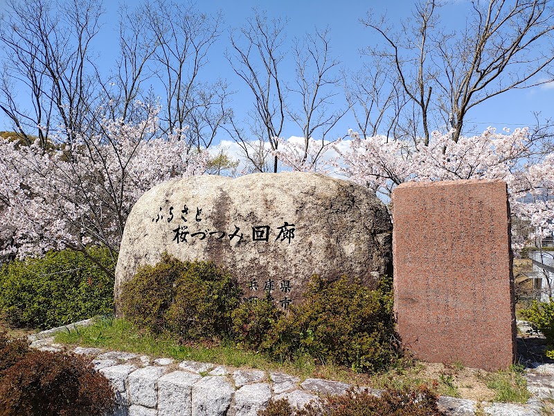 ふるさと桜づつみ回廊