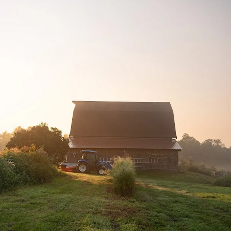 Orchard Ridge Farm