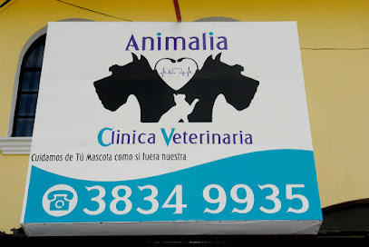 Animalia Clínica Veterinaria