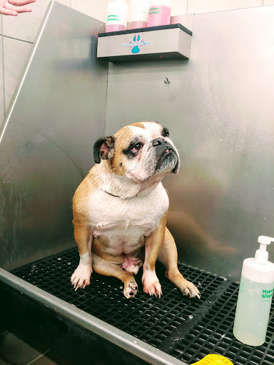 Pet Supply Store «Pet Supplies Plus», reviews and photos, 21703 Village Lakes Shopping Center Dr, Land O Lakes, FL 34639, USA