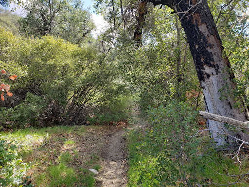 Nature Preserve «Placerita Canyon Nature Center», reviews and photos, 19152 Placerita Canyon Rd, Newhall, CA 91321, USA