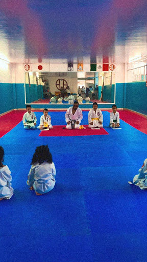 Dojo del Sur