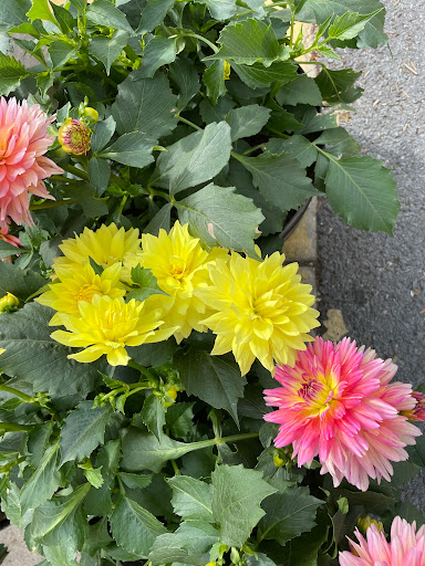 Home Improvement Store «The Home Depot», reviews and photos, 5517 Urbana Pike, Frederick, MD 21704, USA