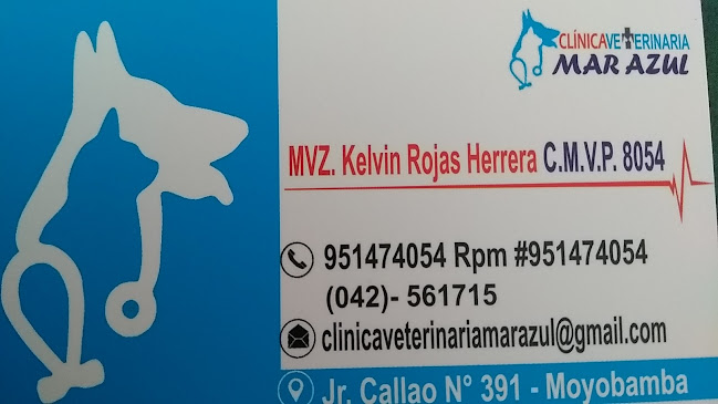 Clínica Veterinaria Mar Azul - Moyobamba