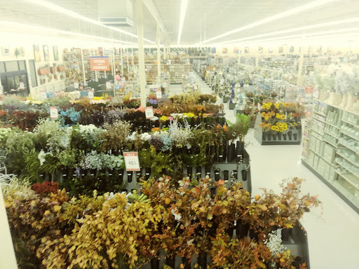 Craft Store «Hobby Lobby», reviews and photos, 16401 County Rd 30, Maple Grove, MN 55311, USA