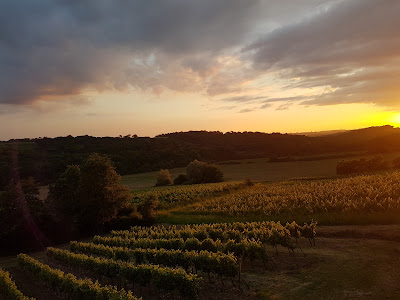 CHATEAU GALOUPEAU à Saint-André-du-Bois