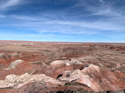 Petrified Forest National Wilderness Area