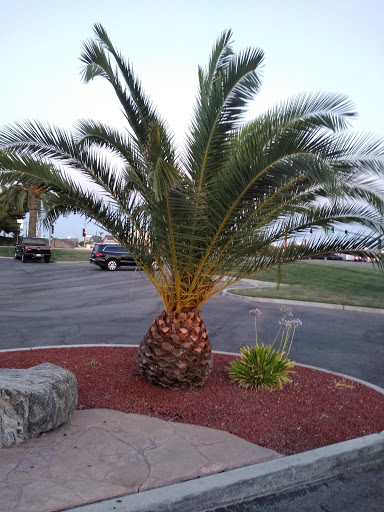 Four Points by Sheraton Bakersfield image