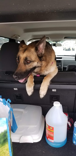 Shopping Mall «Shop City Shopping Center», reviews and photos, 105 Shop City Plaza, Syracuse, NY 13206, USA