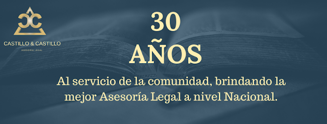 CASTILLO & CASTILLO ABOGADOS