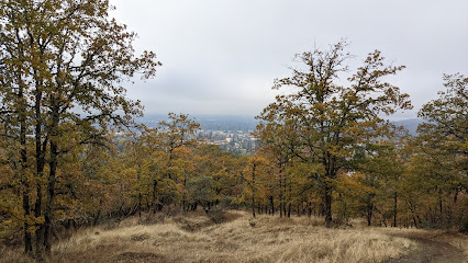 Beacon Hill Trail