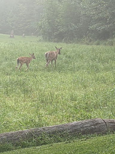 Golf Club «Timberwood Golf Club», reviews and photos, 23700 31 Mile Rd, Ray, MI 48096, USA