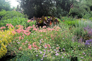 Heather Garden