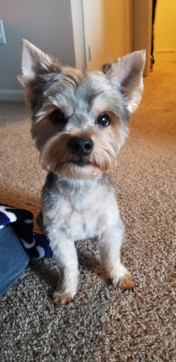 Pet Store «Abrams and Weakley General Store for Animals», reviews and photos, 3963 N 6th St, Harrisburg, PA 17110, USA