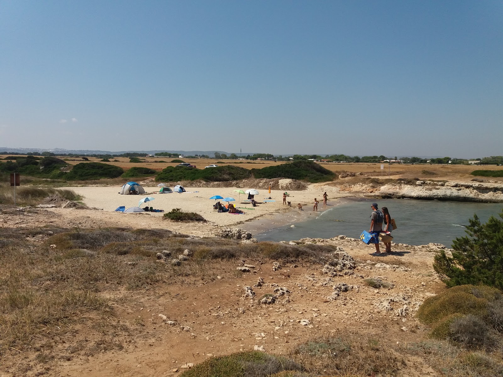 Photo de Dog Beach Costa Merlata avec un niveau de propreté de sale