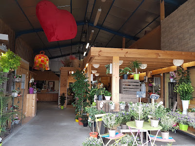 Parola Fleurs, Fleuriste Montélimar à Montélimar