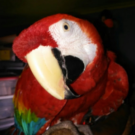 Pet Supply Store «Classic Pet Supply II», reviews and photos, 3180 Gratiot Blvd, Marysville, MI 48040, USA