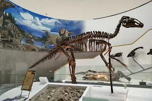 Toyohashi Museum of Natural History image