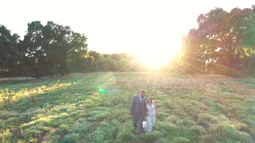 Teddie B. Films image