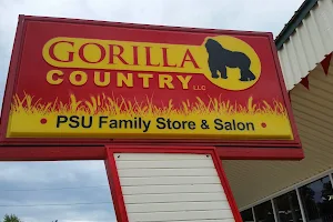 Gorilla Country image