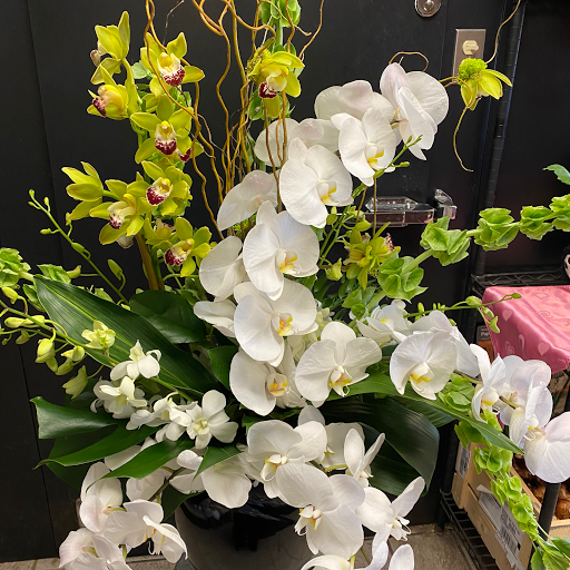 Florist «Concord Flower Shop», reviews and photos, 135 Commonwealth Ave, Concord, MA 01742, USA