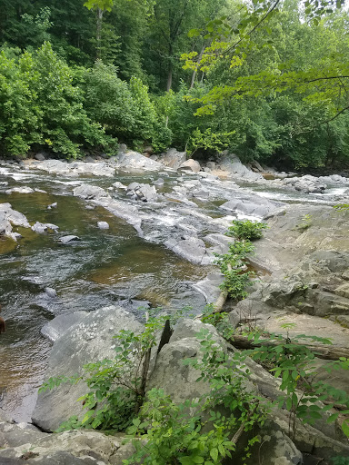 Supermarket «Weis Markets», reviews and photos, 9250 Washington Blvd N, Laurel, MD 20723, USA