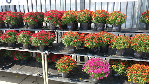 Department Store «Walmart Supercenter», reviews and photos, 33 Sherwood Dr, Tilton, NH 03276, USA