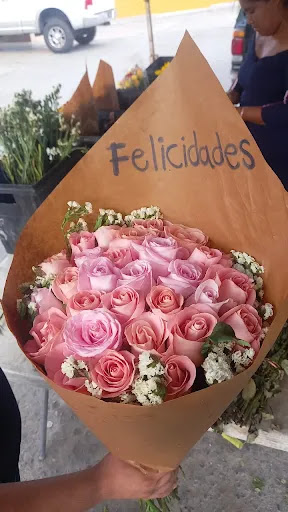 Flores kAB