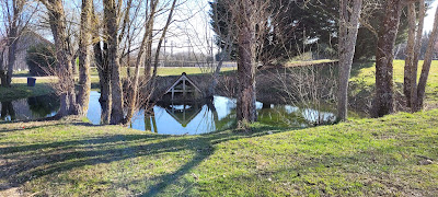 Pension canine et féline La forêt du lys à Saint-Fargeau